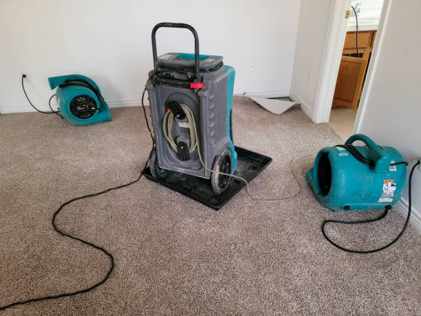 Best Water damage mitigation services  in Delphi, IN