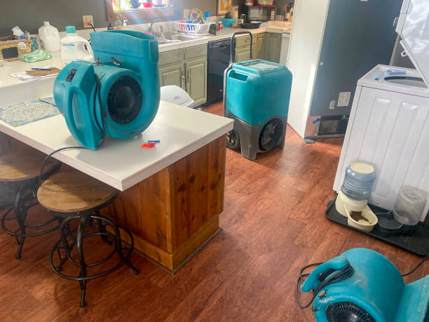 Best Water damage restoration near me  in Delphi, IN