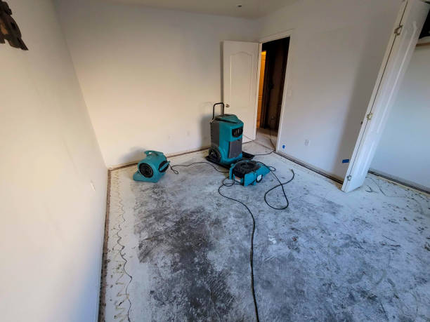 Best Water damage contractors near me  in Delphi, IN