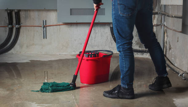 Best Water damage restoration insurance claims  in Delphi, IN