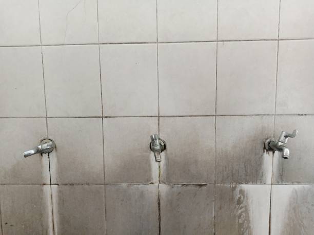 Best Professional water damage repair  in Delphi, IN