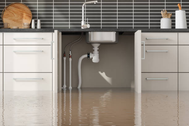 Best Residential water damage restoration  in Delphi, IN