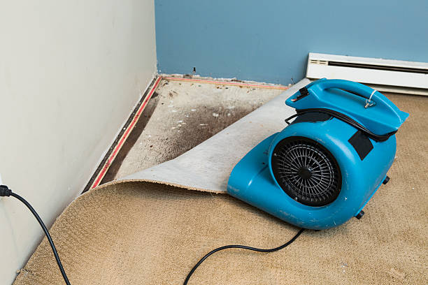 Best Ceiling water damage repair  in Delphi, IN